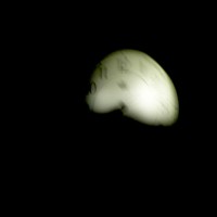 Potensi-Masalah-di-Kehamilan-Kedua