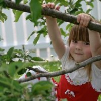 Tips Mengatasi Cacar Air Pada Balita