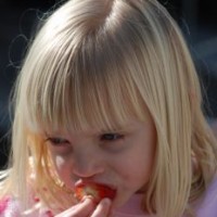 Tips Anak Menghabiskan Bekal Sekolahnya