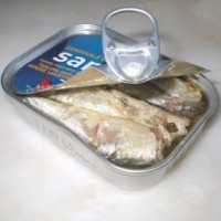 bahan pengawet pada makanan anak