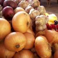 makanan-untuk-memperlancar-asi