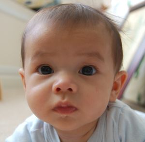 Tips Menangani Bayi Septicaemia